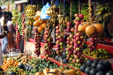 Tropische Früchte auf einem Marktstand auf der Insel Sri Lanka fotografiert.