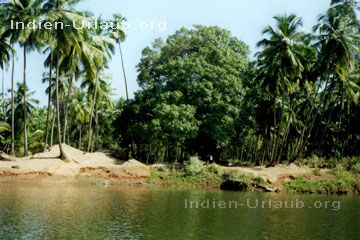 Flusslandschaft in Indien.