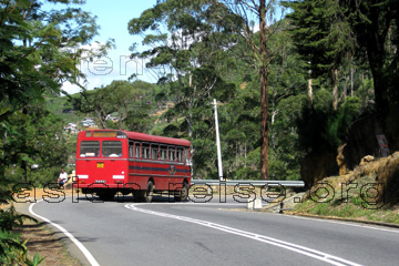 Roter Bus den die Einheimischen nehmen wenn die nach Kandy fahren wollen.